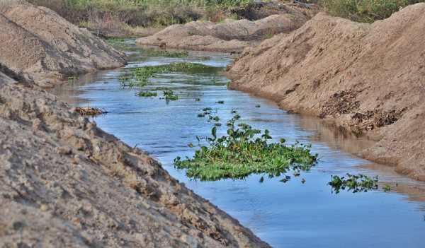 Água do Rio Piranhas deve chegar em Jardim de Piranhas na segunda-feira (07)
