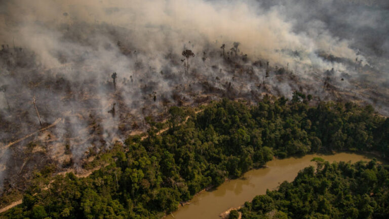 A crise no rio Amazonas pode afetar diretamente a população de todo o país. Foto: Christian Braga/Greenpeace.