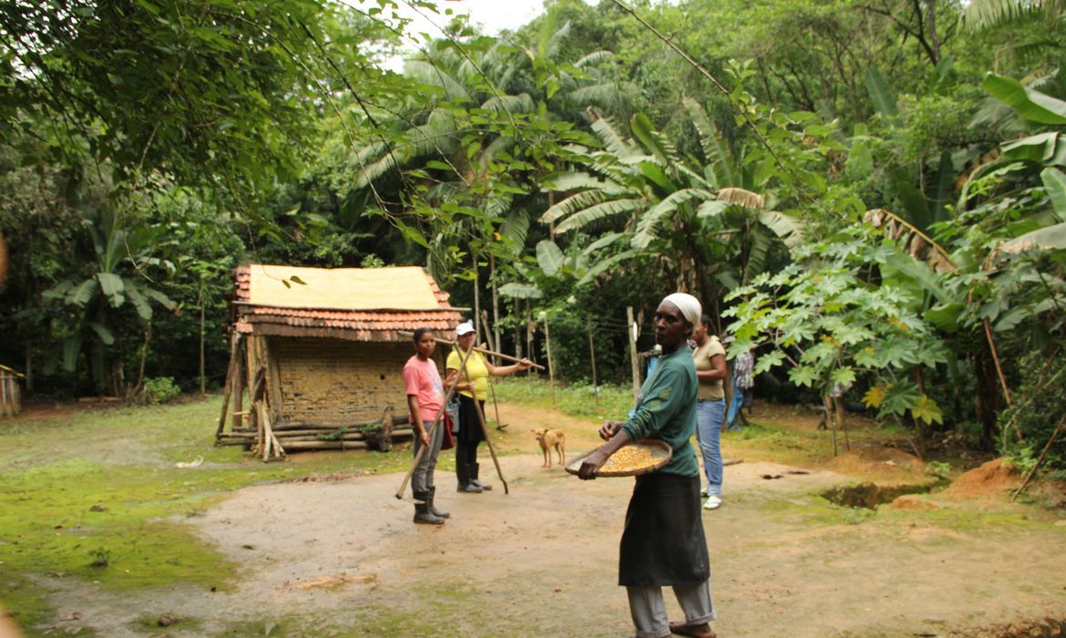 O sistema agrícola tradicional das comunidades quilombolas do Vale do Ribeira, no sudeste paulista