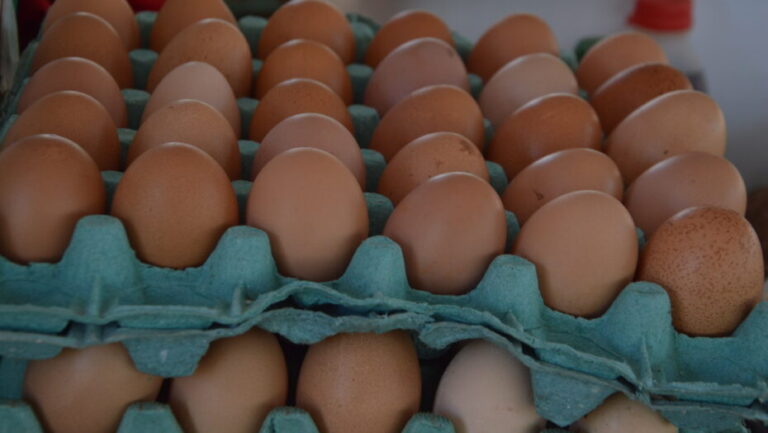 Produção de ovos bateu recorde em 2022 de acordo com o IBGE. Foto: José Aldenir/Agora RN
