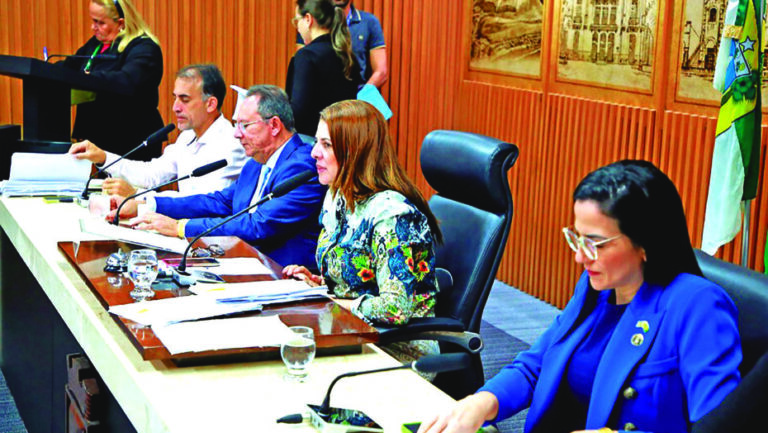 A presidente da comissão é a vereadora Nina Souza (PDT) / Foto: Câmara
