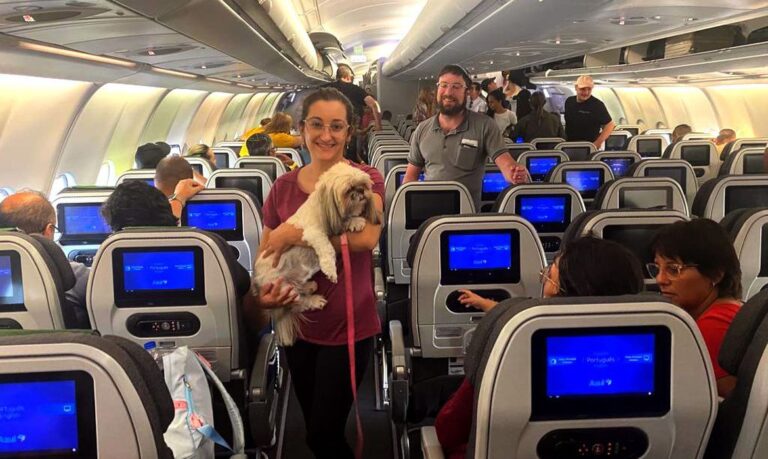 Tel Avivi, Israel, 11.10.2023 - Segunda aeronave da FAB trazendo 212 passageiros, 3 gatos e 1 cachorro, terá o Rio de Janeiro como destino.  Foto: GOV BR/FAB