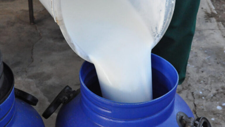Governo do RN e MDS publicam termo aditivo para obtenção de leite. Foto: ASSECOM RN / Reprodução
