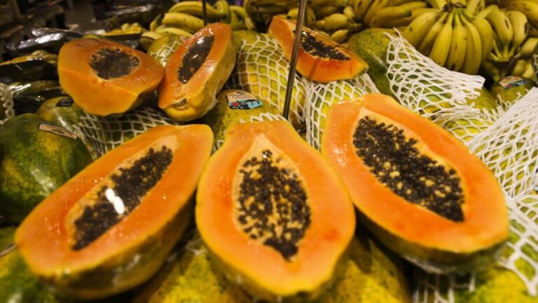 RN fará exportação de mamão papaya para o Chile. Foto: Valter Campanato/Agência Brasil
