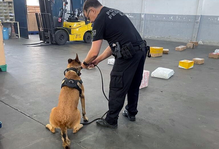 Policia Federal utilizou cães para auxiliar na busca por materiais ilícitos / Foto: PF