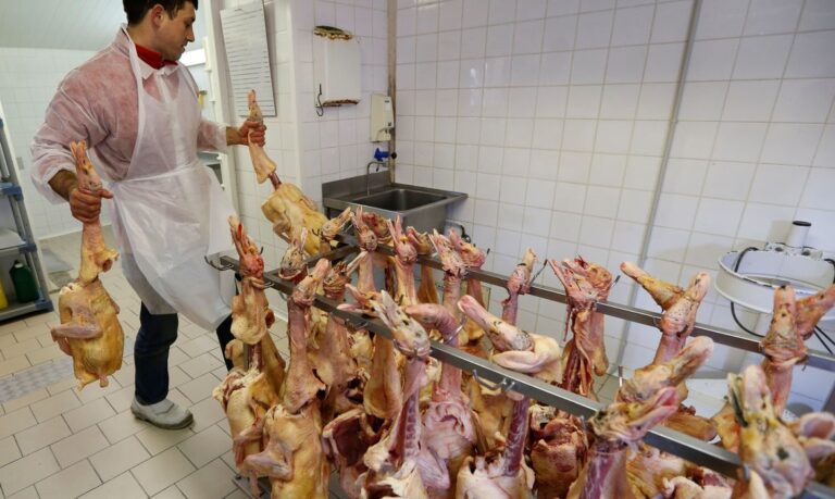 Funcionário trabalha em abatedouro de patos em fazenda avícola em Eugenie les Bains, na França
24/01/2017 REUTERS/Regis Duvignau