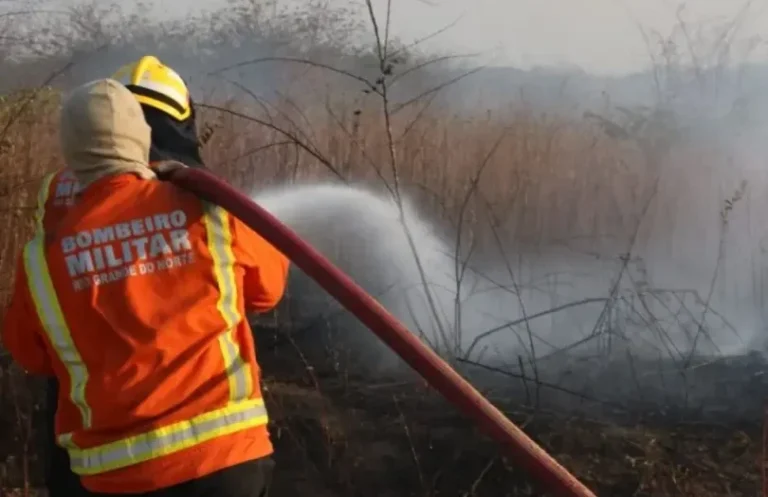 A corporação revelou que atendeu a um total de 1.374 ocorrências de incêndios em vegetação. Foto: Divulgação/CBMRN