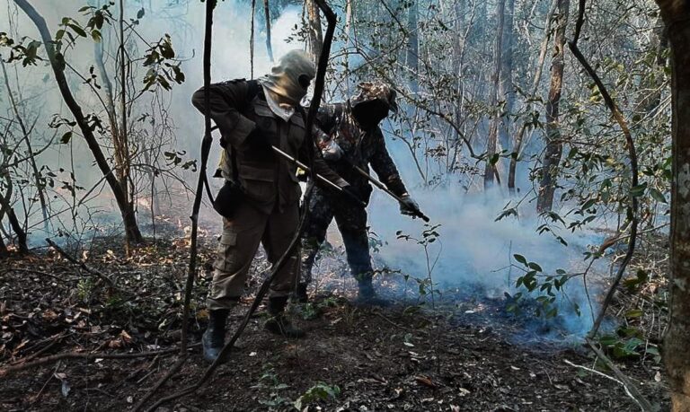Força Nacional de Segurança Pública, incêndio no pantanal