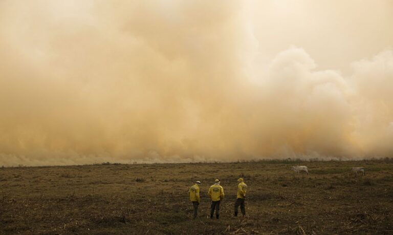 Porto Jofre (MT) 19/11/2023 – Brigadistas do Icmbio observam cortina de fumaça por conta do incêndio florestal que atige o Pantanal.
Foto: Joédson Alves/Agência Brasil