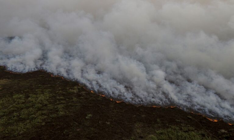 Porto Jofre (MT) 16/11/2023 –Incêndio florestal que atinge o Pantanal.
Foto: Joédson Alves/Agência Brasil