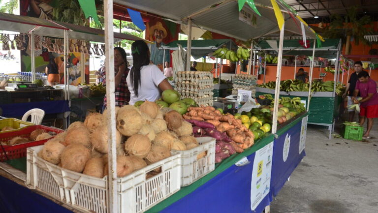 Mercado de Agricultura Familiar / Foto: José Aldenir