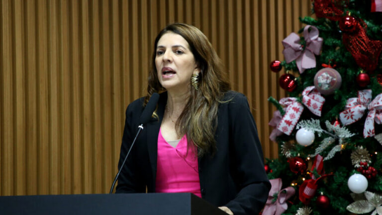 Vereadora Nina Souza, relatora na Camâra