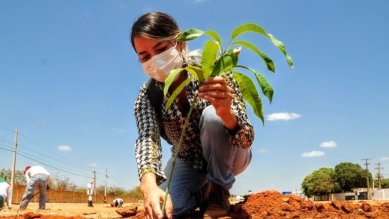 Mossoró: avenida centenária recebe 150 mudas no dia mundial da Árvore