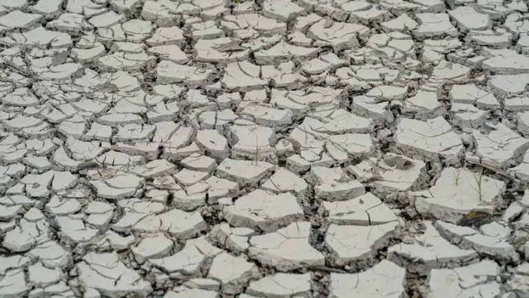Chão rachado, devido a seca. Foto: Rafa Neddermeyer/Agência Brasil