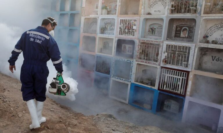 Agente sanitário tenta frear a propagação do vírus da dengue no cemitério de Nueva Esperanza em Lima, Peru
01/06/2022
REUTERS/Sebastián Castañeda