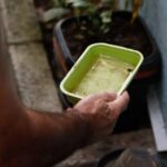Evitar acúmulo de água parada é principal estratégia para evitar a dengue - Foto: FERNANDO FRAZÃO / AGÊNCIA BRASIL