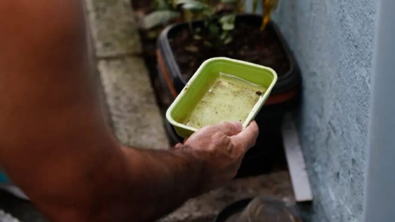 Evitar acúmulo de água parada é principal estratégia para evitar a dengue - Foto: FERNANDO FRAZÃO / AGÊNCIA BRASIL