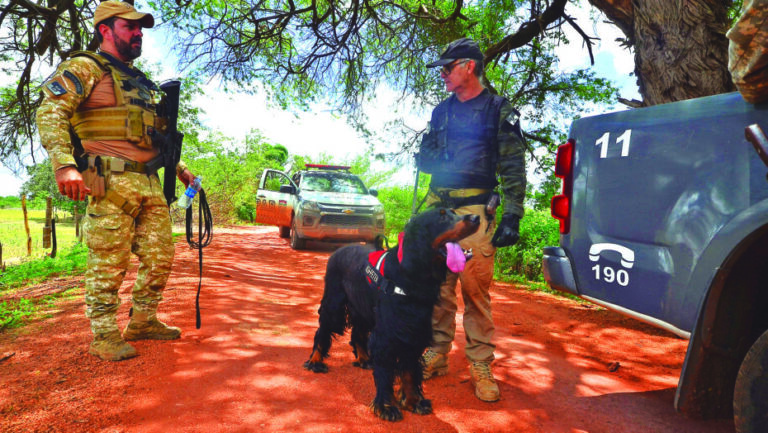 Agentes fazem buscas perto do presídio de Mossoró com auxílio de cães - Foto: JOSÉ ALDENIR / AGORA RN