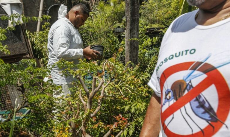 Osasco (SP) 15/03/2024 - Equipes da Zoonoses realizam trabalho de campo no combate aos focos da Dengue nos bairros da cidade.
Foto: Paulo Pinto/Agência Brasil