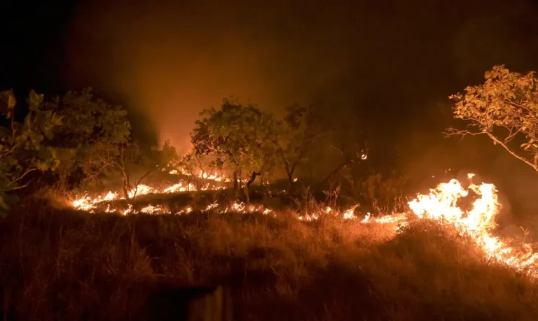 20-02-2024 Queimadas e incêndios em Amajari – Roraima - Foto Jader Souza/AL Roraima