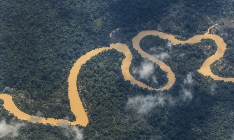 Rios contaminados têm coloração e margem afetadas pela atuação de garimpo ilegal na região do Surucucu, dentro da Terra Indígena Yanomami, Oeste de Roraima, avistados em sobrevoo da Força Aéra Brasileira para lançamendo de suprimentos. Foto: Fernando Frazão/Agência Brasil