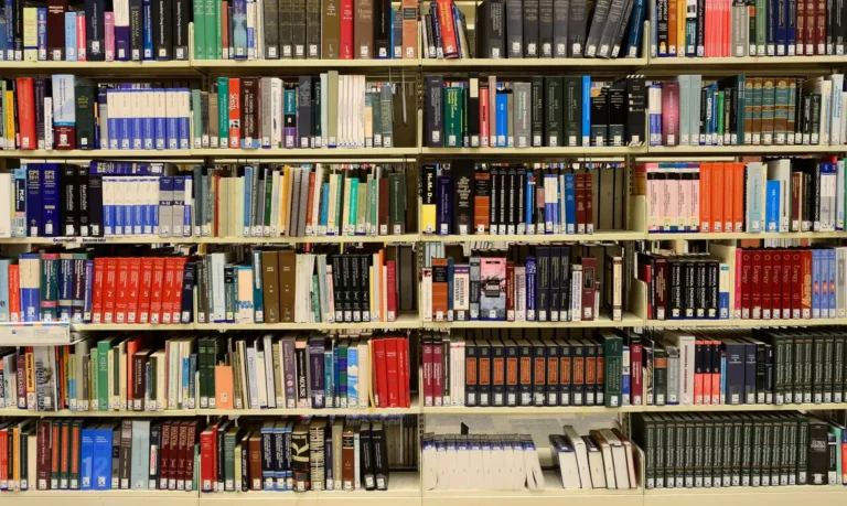 Biblioteca, Livros, Estantes de livros. Foto: ElasticComputeFarm/PixaBay
