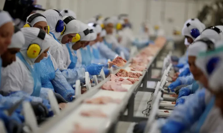 Employees are seen during a technical visit of Brazil's Agriculture Minister Blairo Maggi at the Brazilian meatpacker JBS SA in the city of Lapa, Parana state, Brazil, March 21, 2017. REUTERS/Ueslei Marcelino