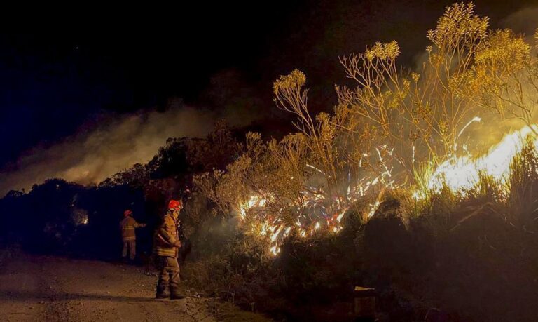 Rio de Janeiro (RJ) 16/06/2024 - Incêndio do Parque Nacional de Itatiaia.
Foto: Corpo de Bombeiros RJ/Divulgação