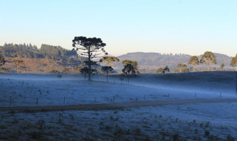 O amamancer de 28 de abril em Urupema foi  com os campos coberto de geada e os termômetros regitrando -5,4º C