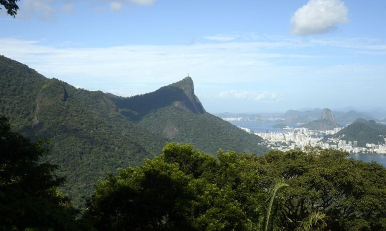 Vista da mata atlântica na Floresta da Tijuca, no Rio de Janeiro