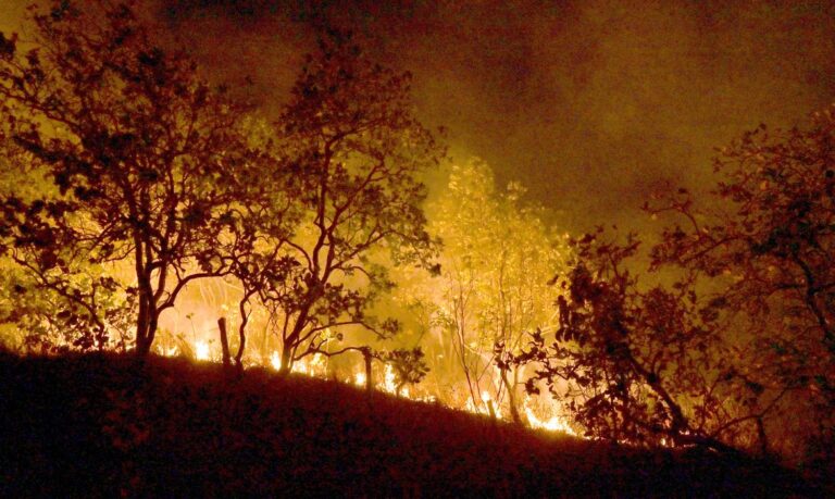 20-02-2024 Queimadas e incêndios em Amajari – Roraima - Foto Jader Souza/AL Roraima