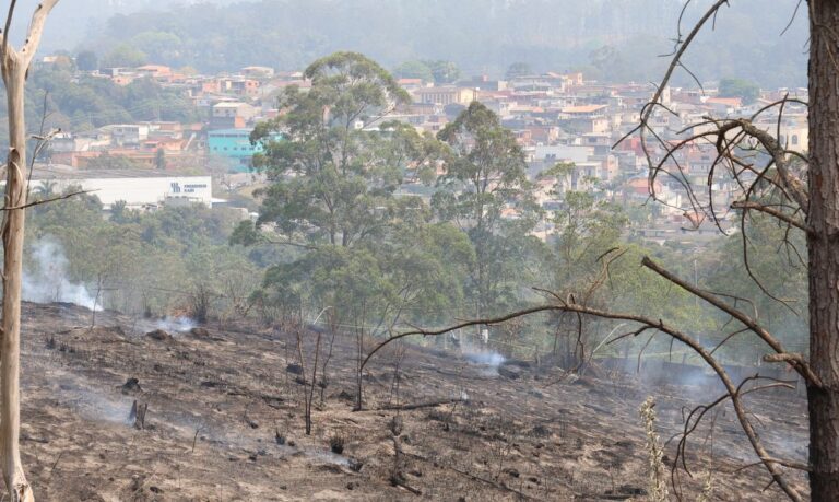 Itapecerica da Serra (SP), 13/09/2024 - Incêndio em terreno da Companhia de Saneamento Básico do Estado de São Paulo - Sabesp, na região metropolitana de São Paulo. Foto: Rovena Rosa/Agência Brasil