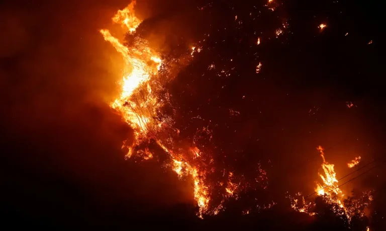 Árvores queimam, após a propagação de incêndios florestais em Vina del Mar, Chile, 3 de fevereiro de 2024. Foto: REUTERS/Rodrigo Garrido