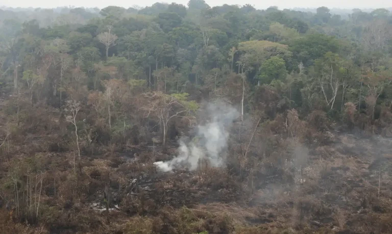 Fumaça de queimadas sobe em floresta tropical na Terra Indígena Yanomami, Roraima, Brasil, 2 de março de 2024. REUTERS/Bruno Kelly