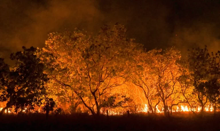 20-02-2024 Queimadas e incêndios em Amajari – Roraima - Foto Jader Souza/AL Roraima