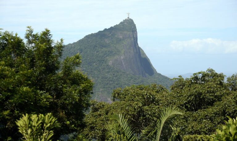 Vista da mata atlântica na Floresta da Tijuca, no Rio de Janeiro