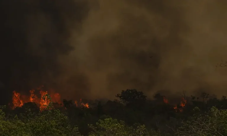 Brasília (DF), 16/09/2024 - Grandes focos de incêndio atingem áreas do Parque Nacional de Brasília. Foto: Marcelo Camargo/Agência Brasil