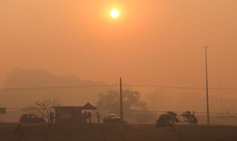 Brasília (DF) 16/09/2024 A capital amanheceu coberta de fumaça causada pelo incêndio no Parque Nacional de Brasília Foto: Fabio Rodrigues-Pozzebom/ Agência Brasil