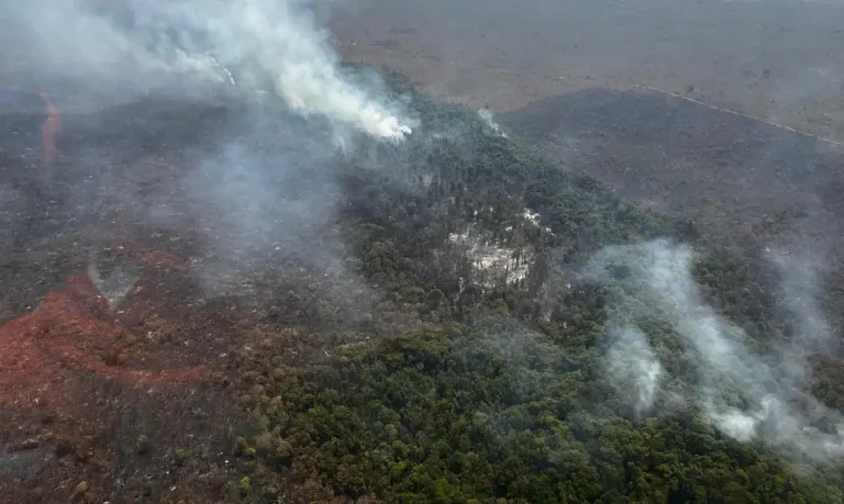 Brasília (DF), 19/09/2024 - Incêndio no Parque Nacional de Brasília. Foto: ICMBio/Divulgação