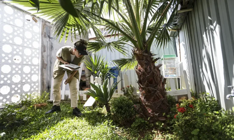 Brasília (DF), 29/02/2024 - Agentes da vigilância ambiental do DF fiscalizam residências no Guará, região administrativa do DF, em busca de focos do mosquito transmissor da dengue. Foto: Marcelo Camargo/Agência Brasil