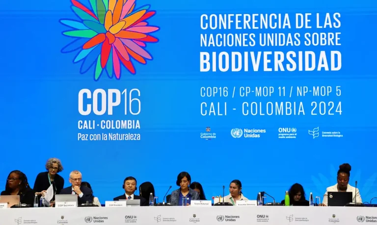 Plenária de abertura da 16ª Cúpula das Nações Unidas sobre Biodiversidade (COP16), em Yumbo, Colômbia
21/10/2024
REUTERS/Luisa Gonzalez