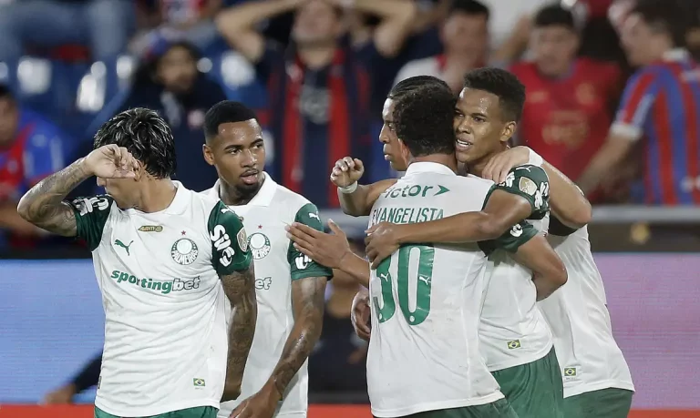 palmeiras, cerro, libertadores