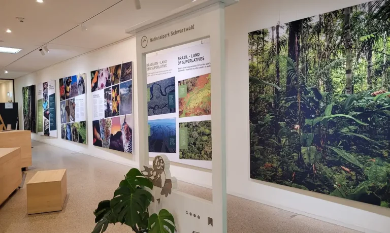 FOTO DE ARQUIVO - Exposição do Pico da Neblina. Foto: Parque Nacional da Floresta Negra da Alemanha/Divulgação