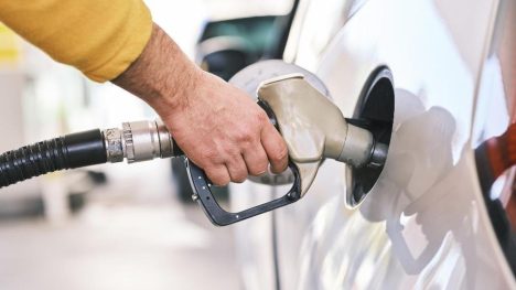 gasolina