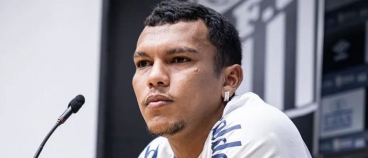 Foto: Raul Baretta/Santos FC