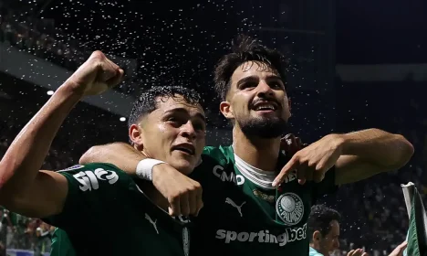 palmeiras, novorizontino, campeonato paulista