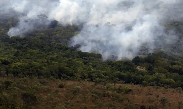 Incêndio na Chapada dos Veadeiros