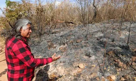 Brasília (DF), 18/09/2024 - O guardião da Casa de Cerimônias Indígenas Bahsakewi'í, Álvaro tucano fala sobre incendio no Setor Noroeste em Brasília. Foto: Wilson Dias/Agência Brasil