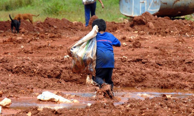 combate o Trabalho Infantil