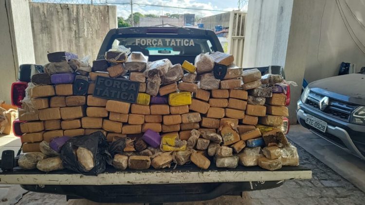 maconha apreendida